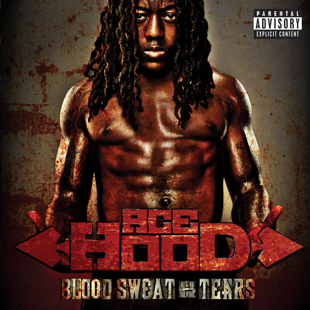 Ace Hood - Blood, Sweat And Tears (Cover)