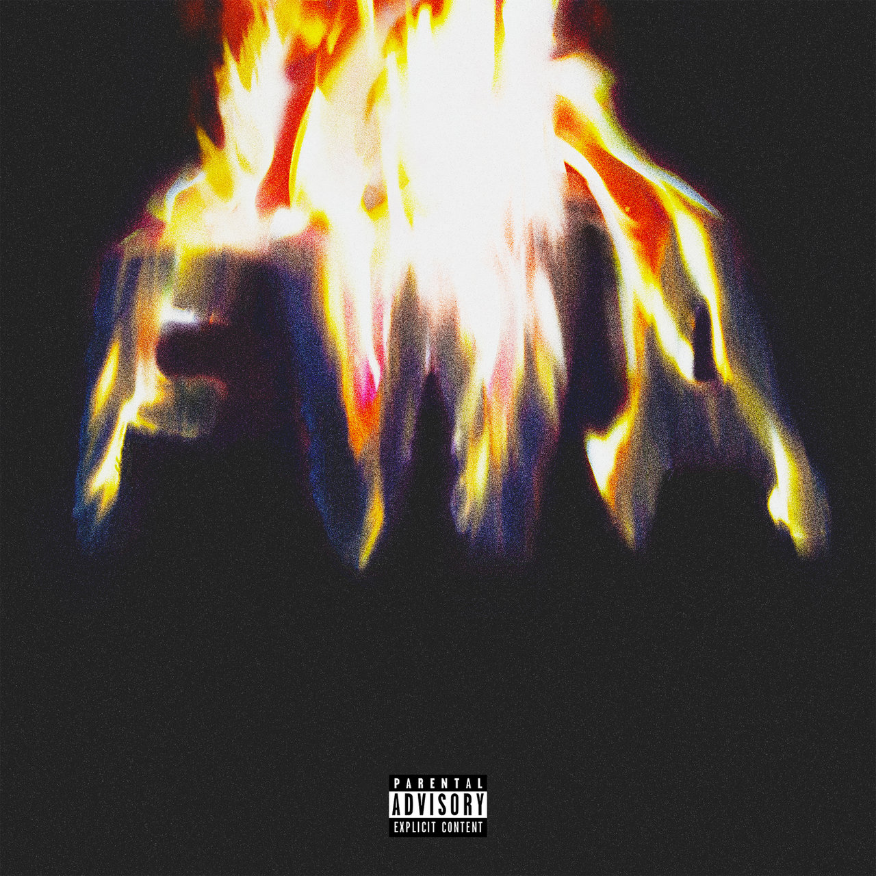 Lil Wayne - FWA (Free Weezy Album) (Cover)