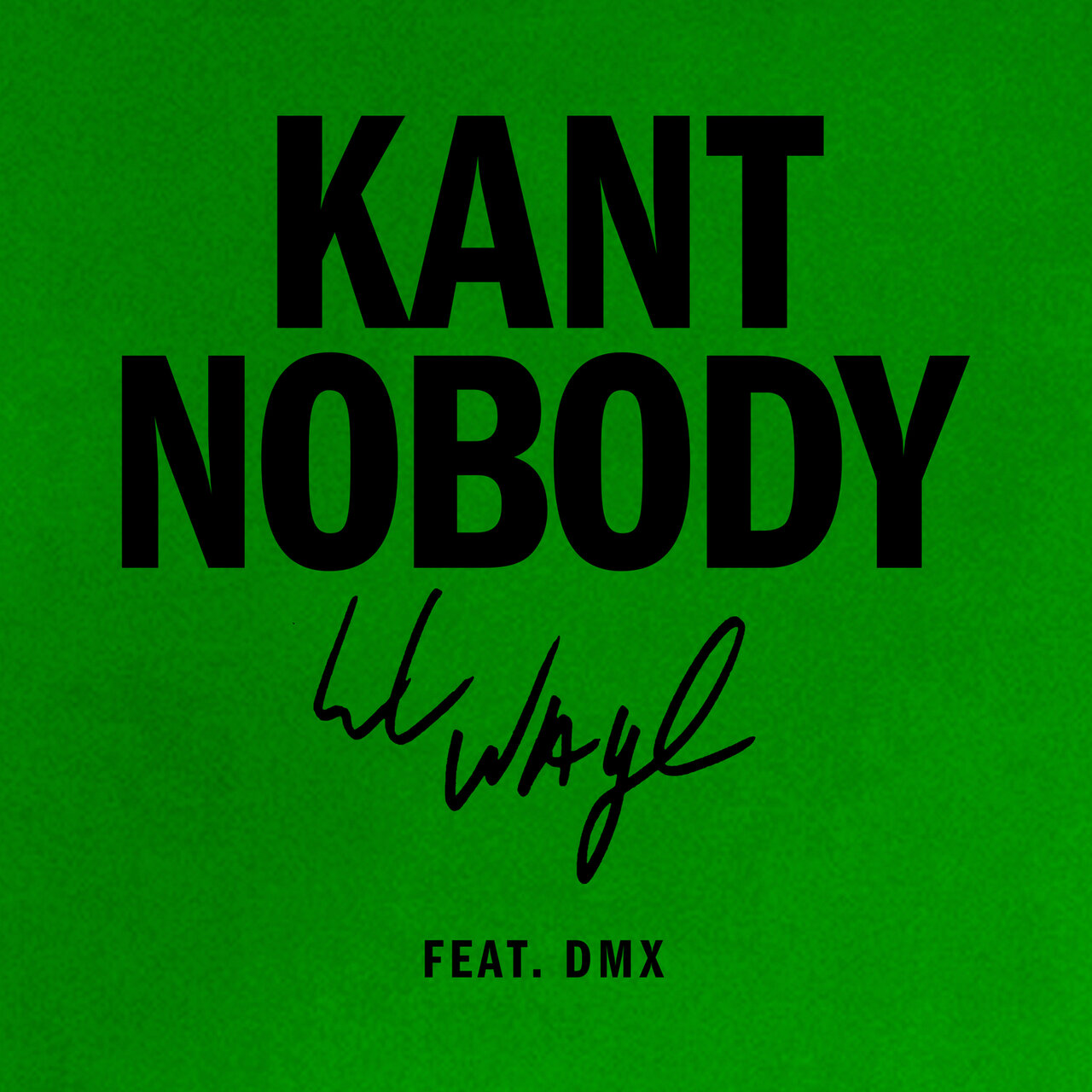 Lil Wayne - Kant Nobody (ft. DMX) (Cover)