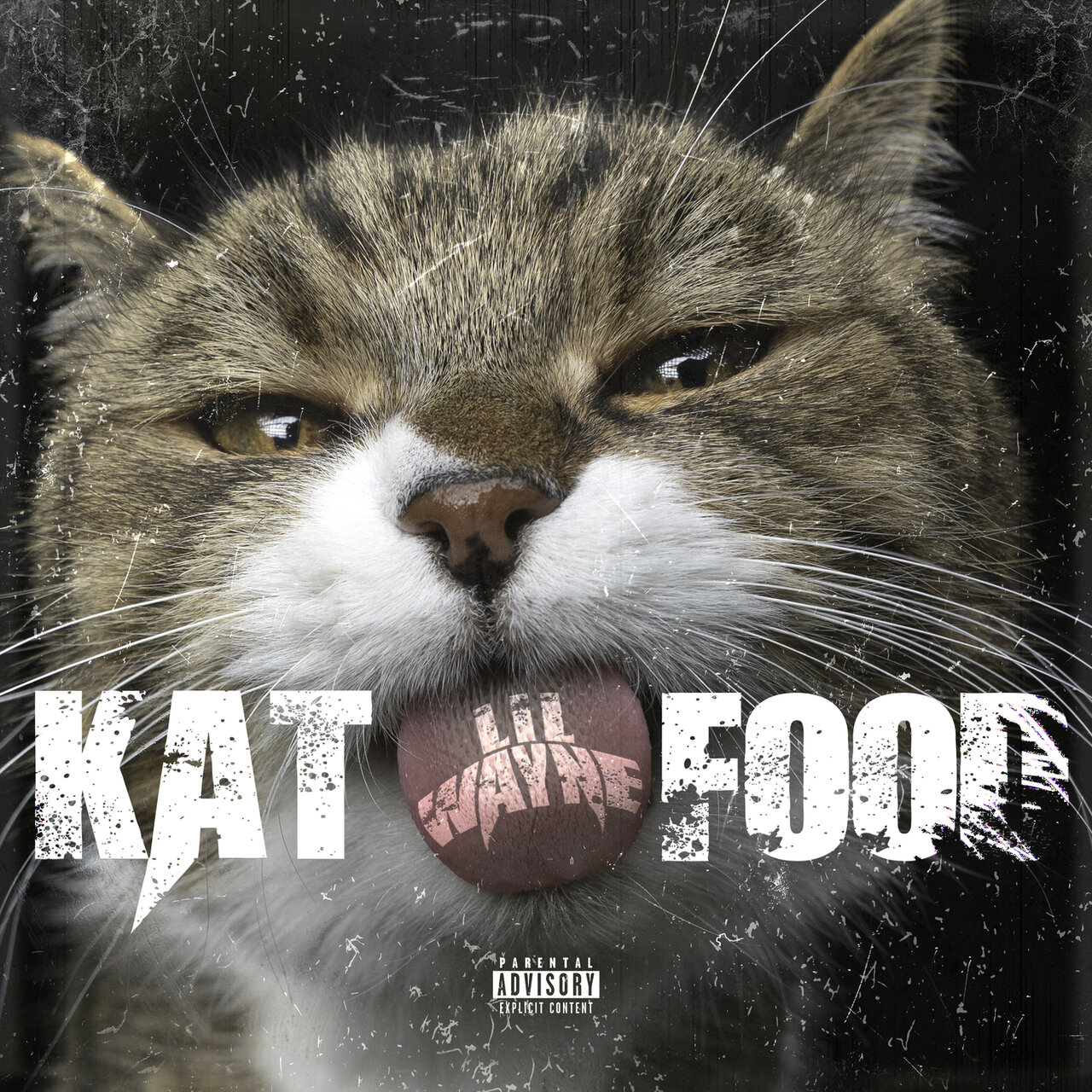 Lil Wayne - Kat Food (Cover)