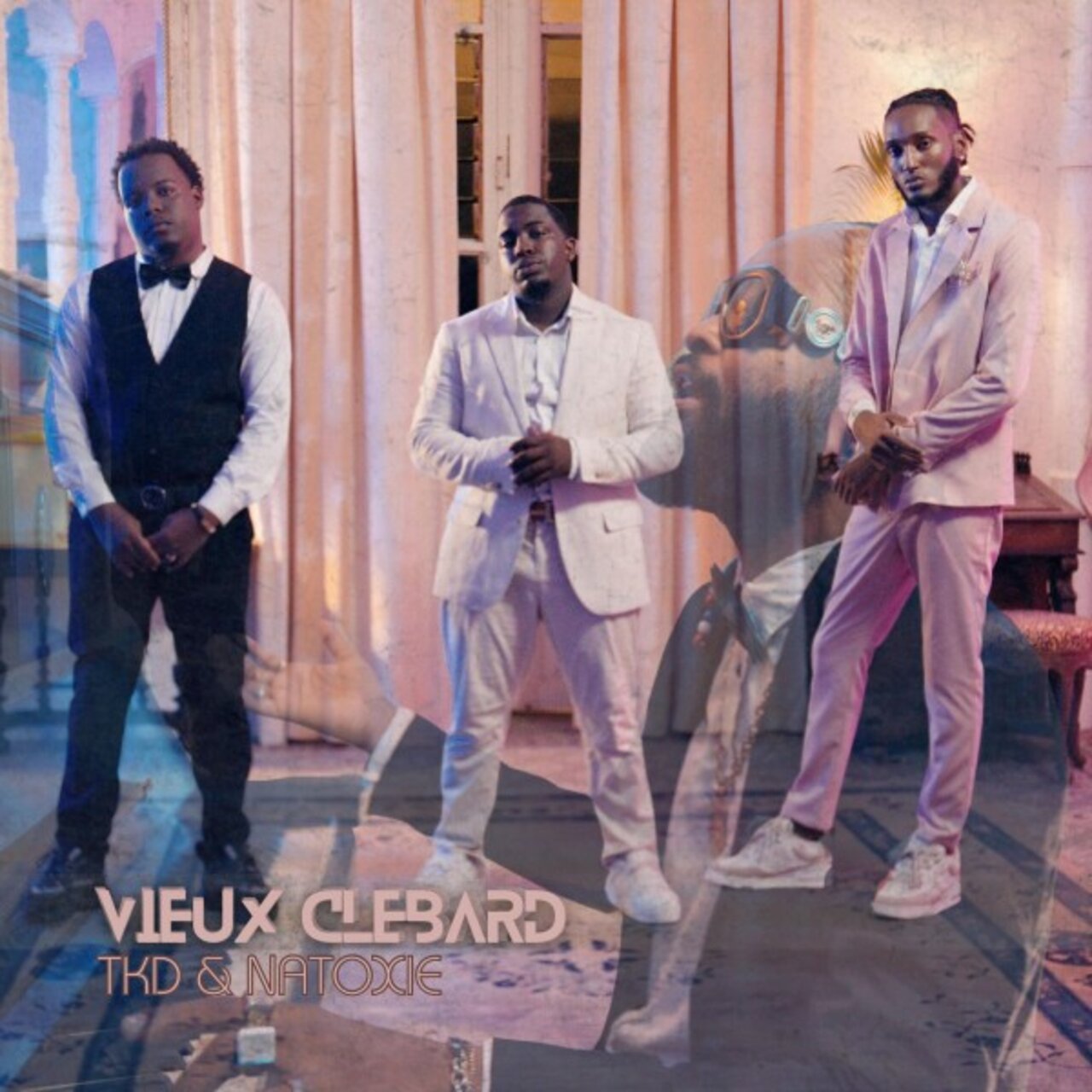 TKD - Vieux Clébard (ft. Natoxie) (Cover)