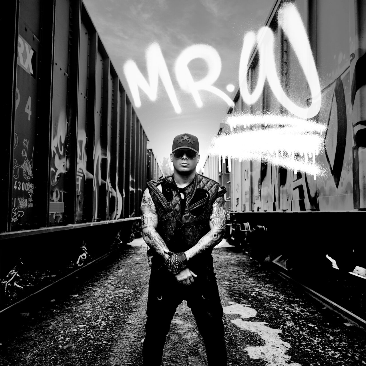 Wisin - Mr. W (Cover)